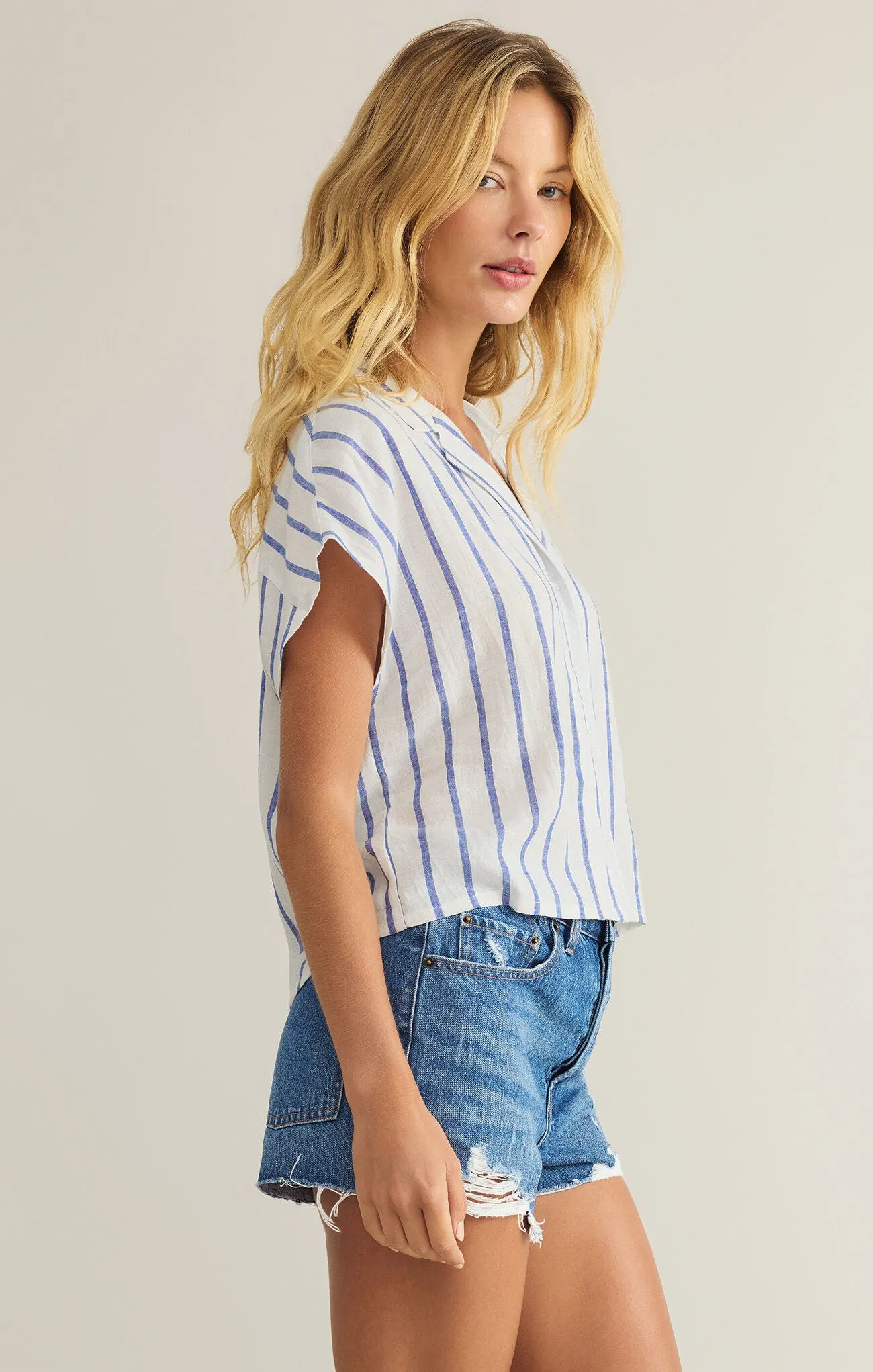 Z Supply Parallel Button Down Top- Blue