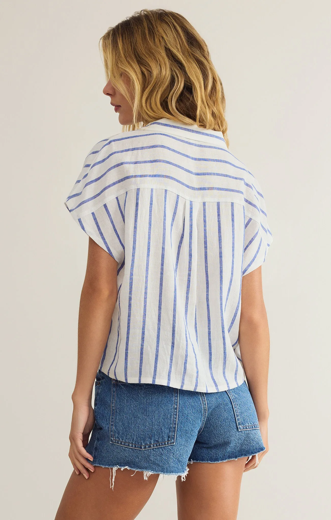 Z Supply Parallel Button Down Top- Blue